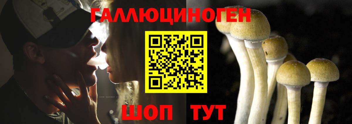 Галлюциногенные грибы мухоморы  Псилоцибиновые грибы GOLDEN TEACHER  Самара  Вход с VPN 